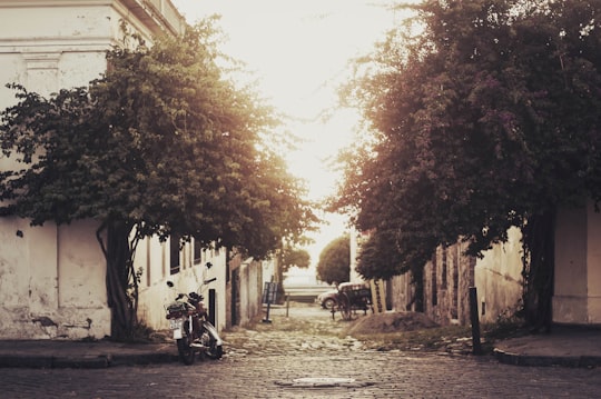 two trees near buildings and gray motorcycle parked during daytime in Colonia del Sacramento Uruguay