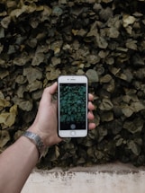 A friendly person holding a smartphone with a plant identification app open, surrounded by green leaves.