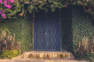 blue wooden door