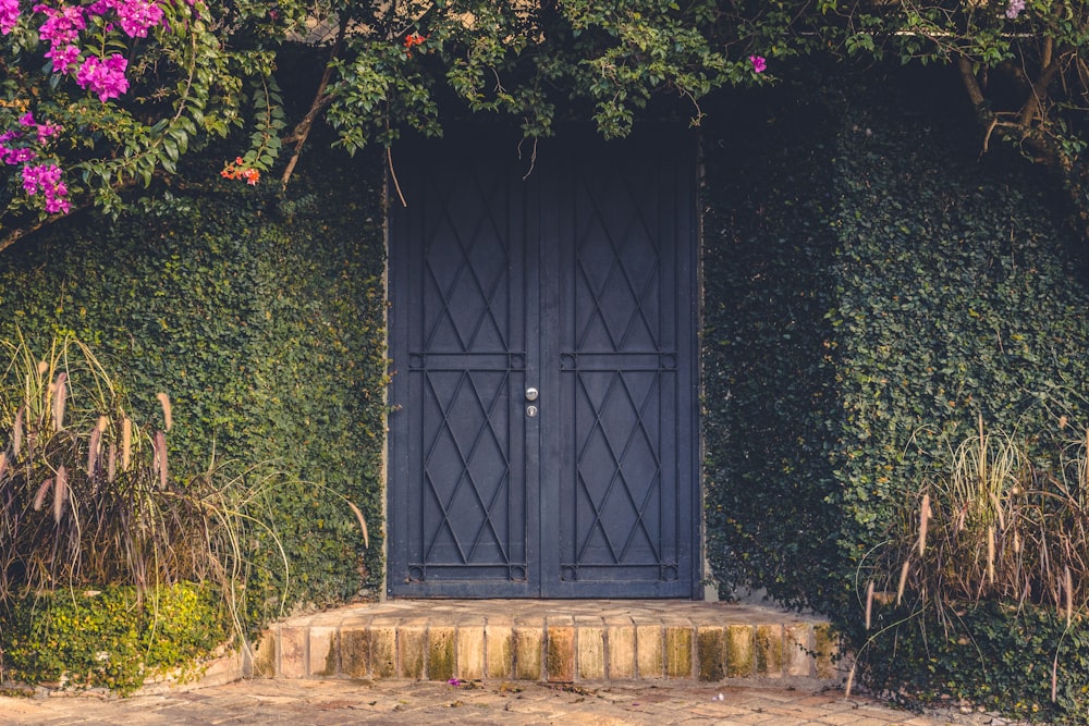 blue wooden door