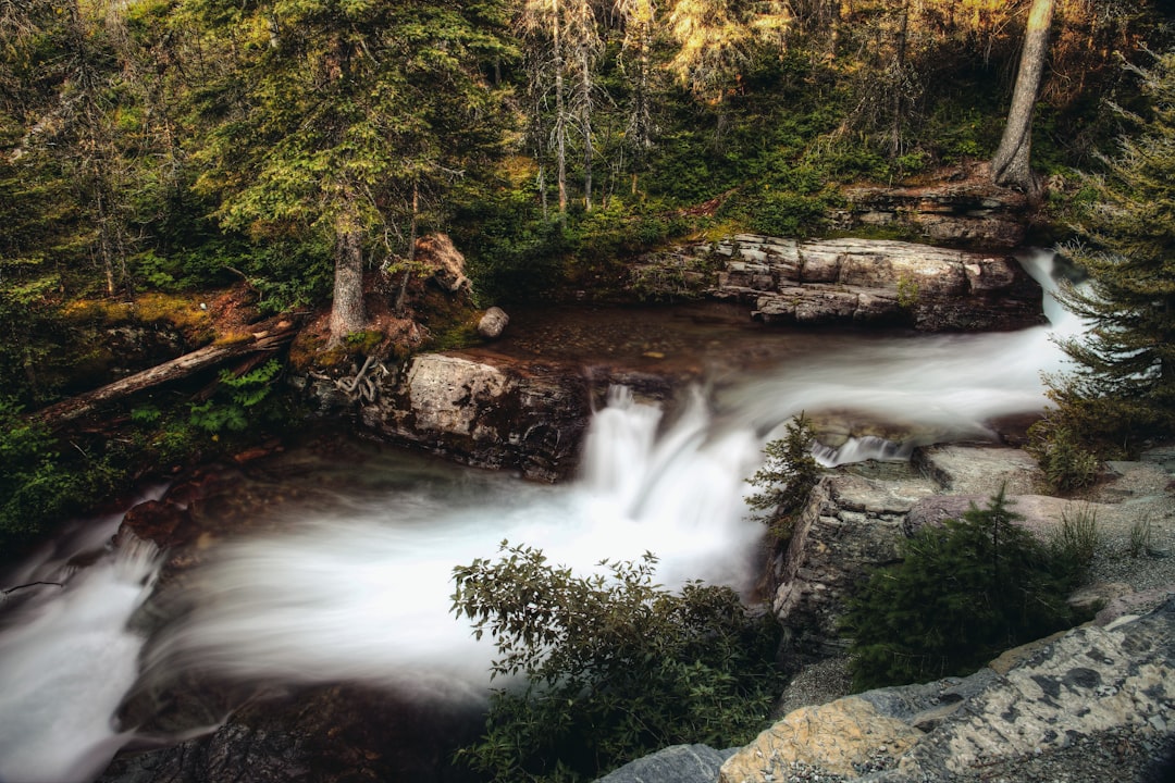 time-lapse photography of waterfall at the jungle