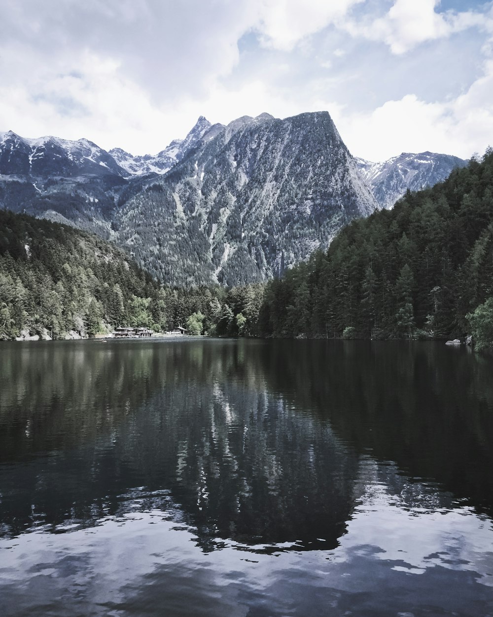 rippling body of water near trees