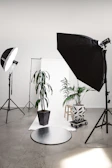 three green linear leafed plants beside softbox