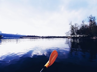 A tranquil body of water with a paddle in the foreground indicating a kayaking activity. On the right, a line of bare trees suggests a chilly season, perhaps early spring or autumn. The sky is overcast, creating a calm and serene atmosphere.