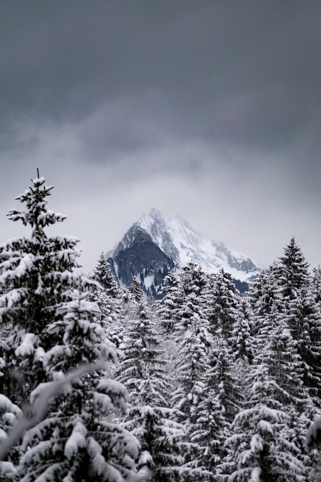 Mountain range photo spot Glarus Süd Schmitten (Albula)