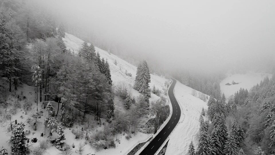 Winding black and white road cuts through snowy landscape surrounded by heavily laden trees