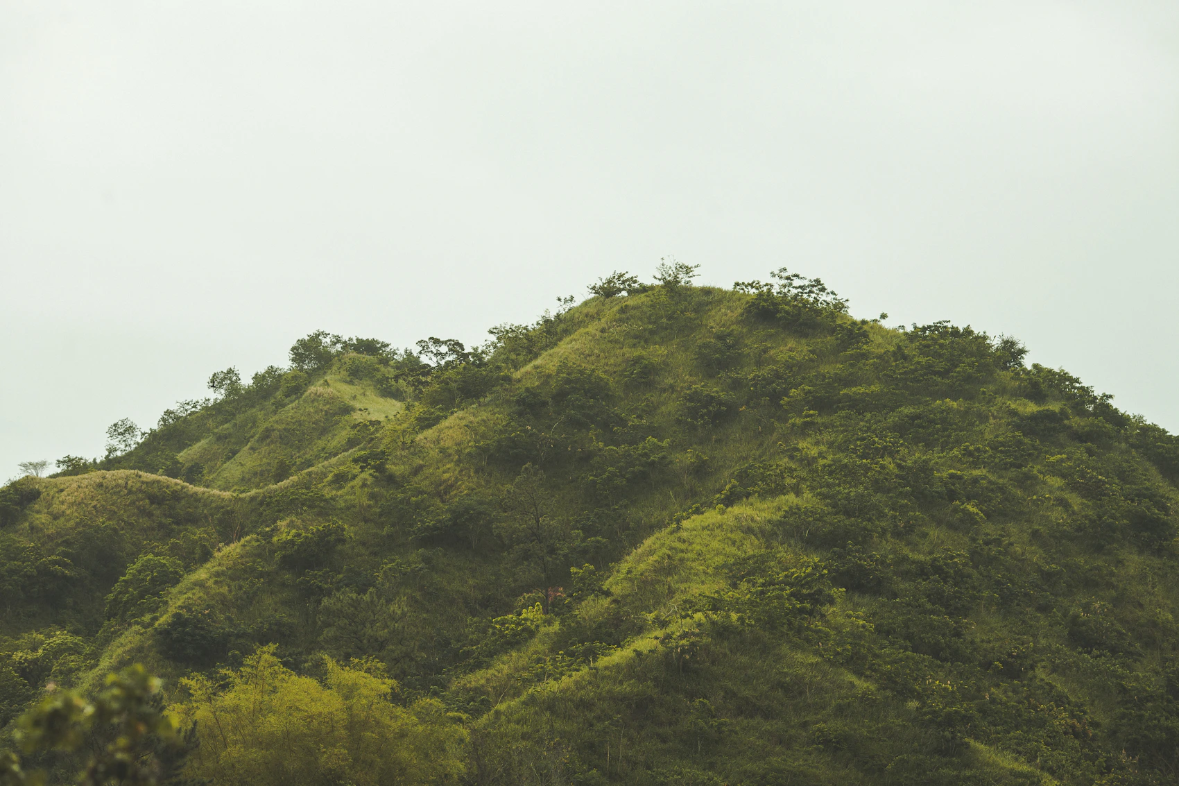 The misty green slopes of Jamaica's Blue Mountains