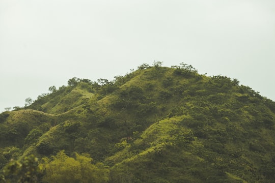 green mountain during daytime in Kingston Jamaica