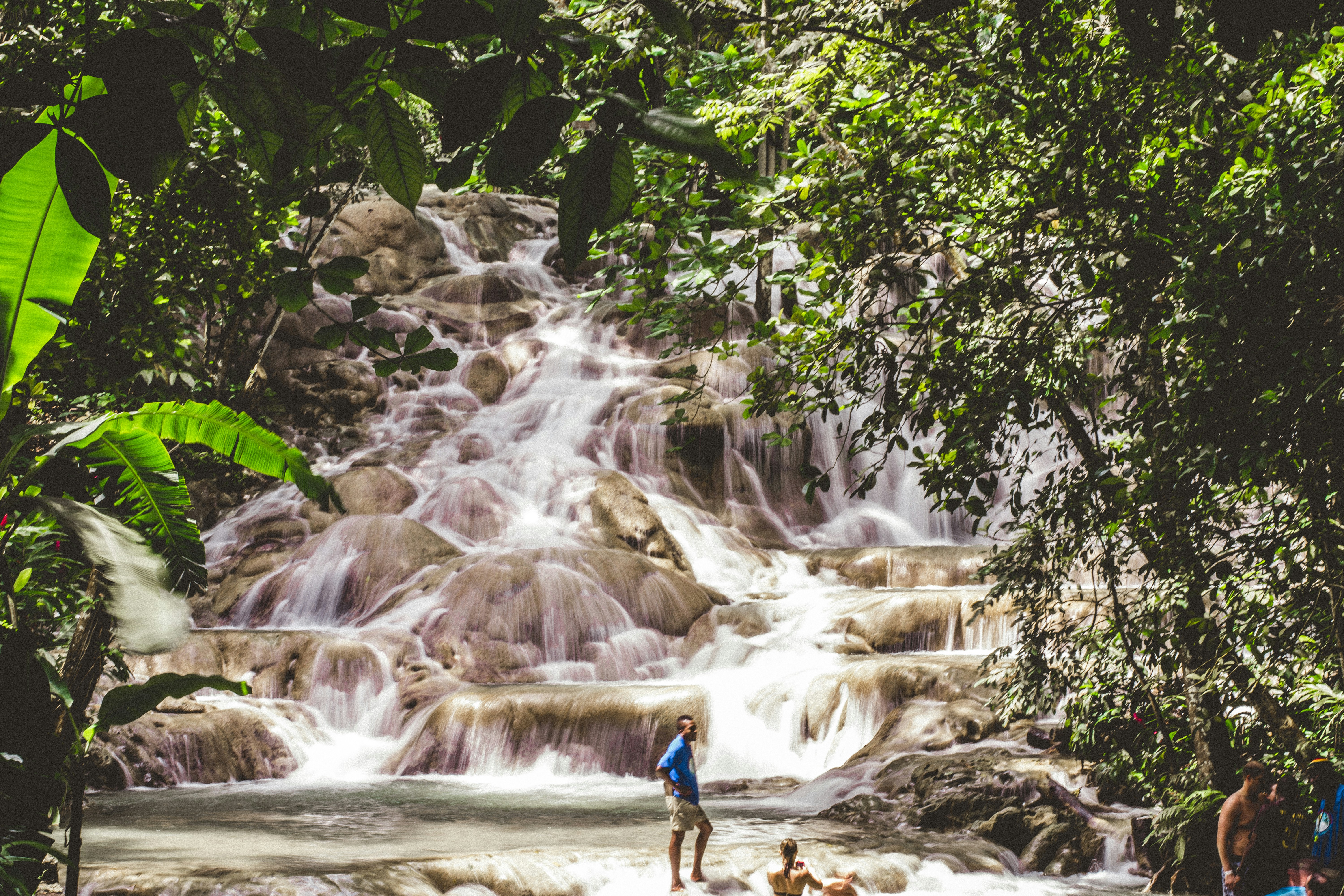 Caribbean waterfall surrounded by tropical green vegetation