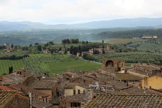 A picturesque view of olive groves in San Vito Romano, Lazio.
