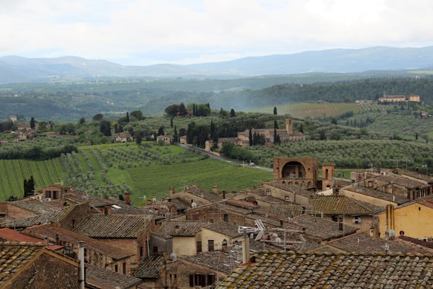 A picturesque view of the olive groves in San Vito Romano, Italy.
