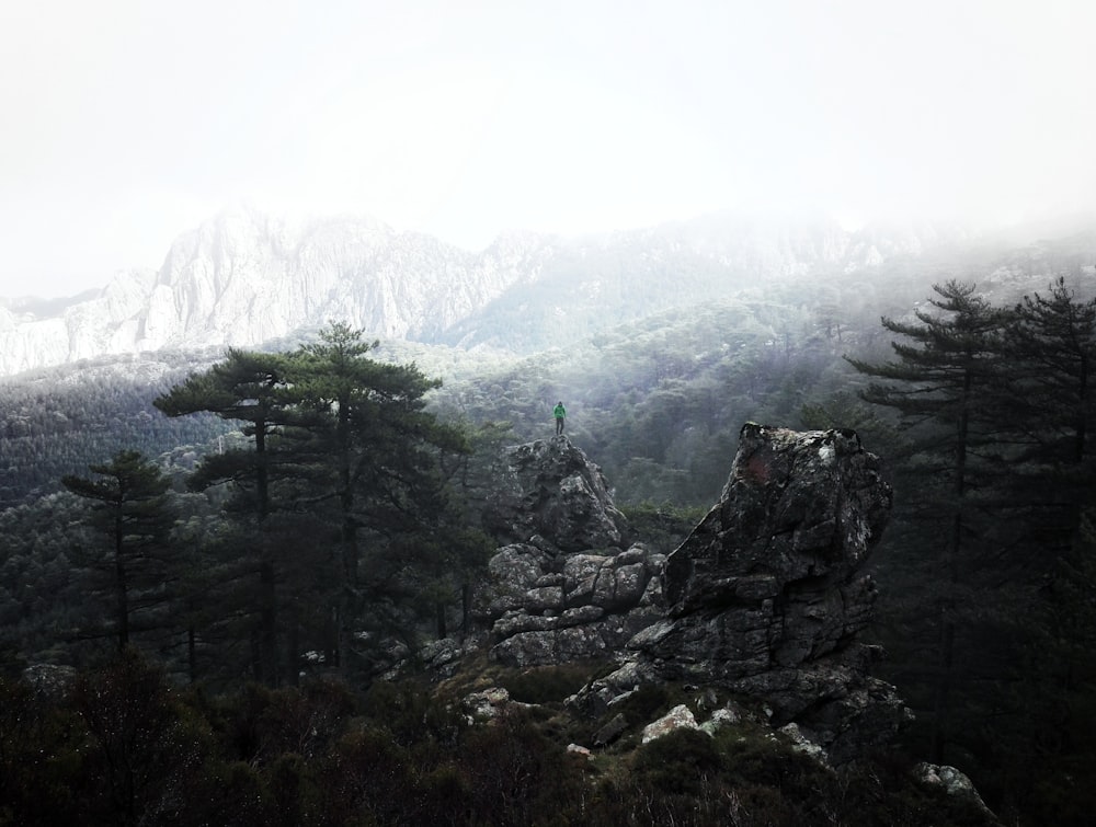 foto di rocce tra gli alberi