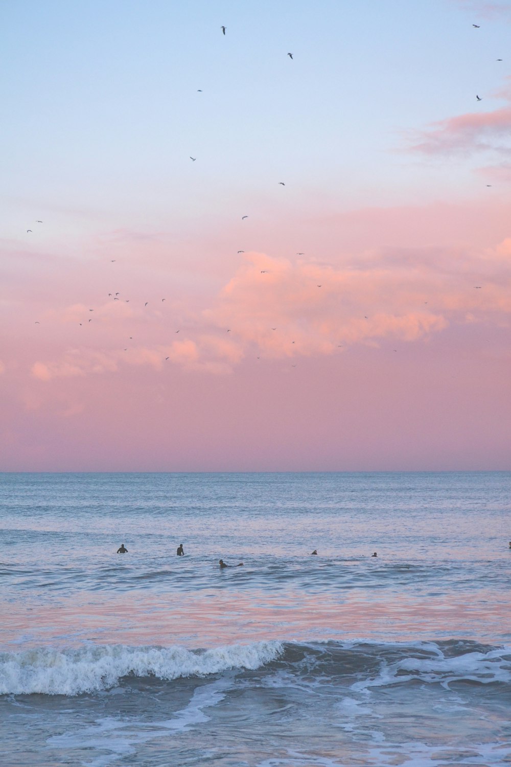 500 Pink Sky Pictures Download Free Images On Unsplash