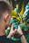 Woman outdoors taking a photo with a smartphone, surrounded by lush greenery and natural light.