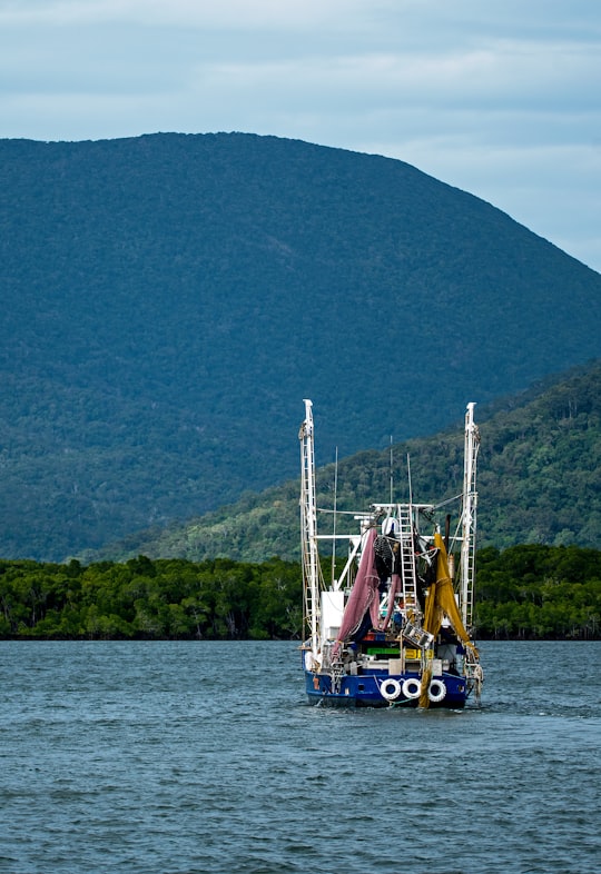 blue and white yacht on body of water in Trinity Inlet Australia