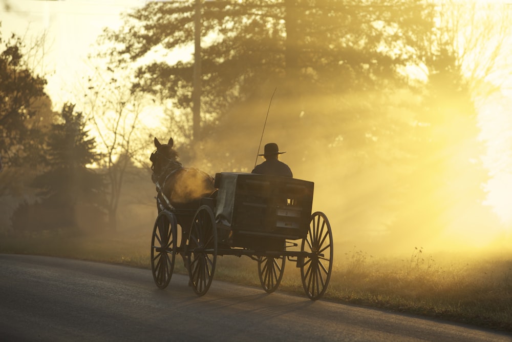 man riding on carriage on gray concrete road