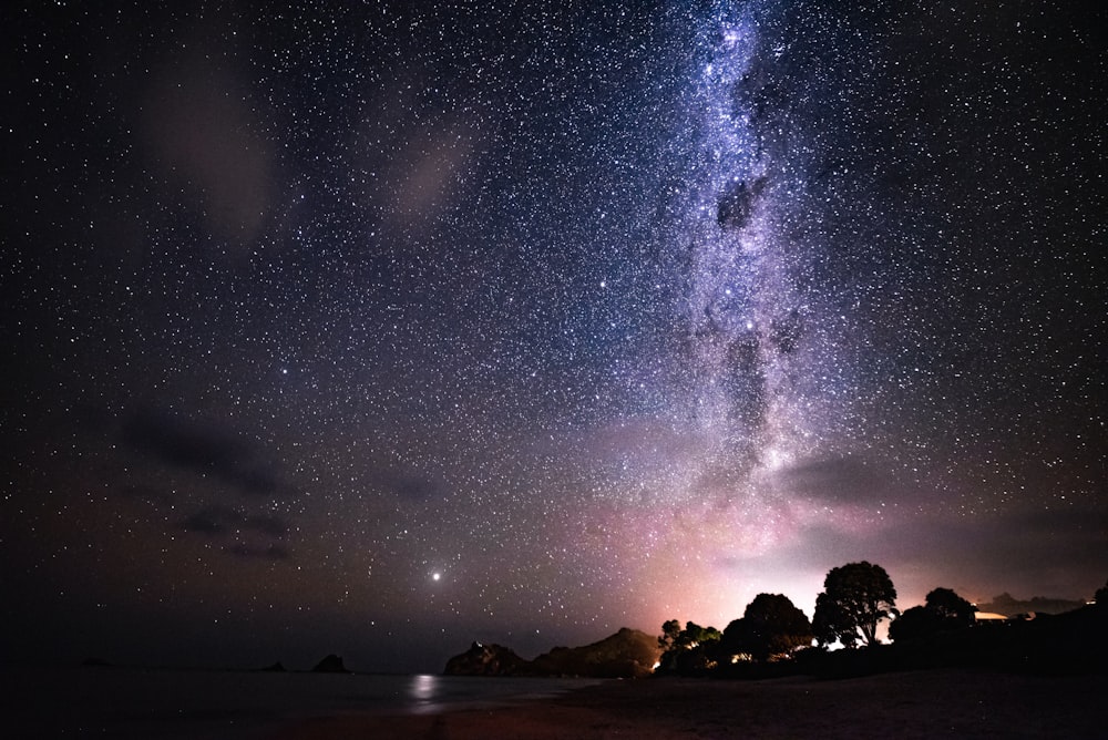 silhouette of trees during nighttime