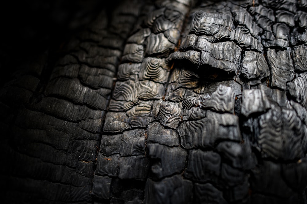 a close up view of the skin of an elephant