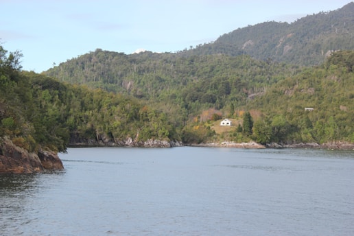 A serene landscape featuring a secluded house nestled amidst lush green hills. The scene includes a calm body of water in the foreground, surrounded by dense forested areas extending up the mountainous terrain. The setting appears quiet and untouched, projecting a feeling of tranquility.