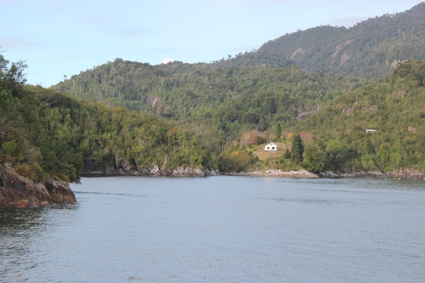 A serene landscape featuring a secluded house nestled amidst lush green hills. The scene includes a calm body of water in the foreground, surrounded by dense forested areas extending up the mountainous terrain. The setting appears quiet and untouched, projecting a feeling of tranquility.
