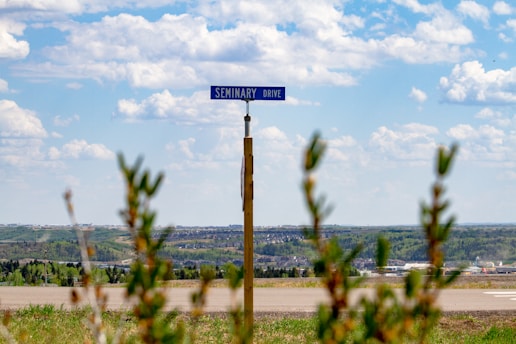 A blue road sign that reads 'Seminary Drive' is mounted on a wooden post. The background reveals a vast landscape with green fields and a distant view of houses under a partly cloudy sky. Some out-of-focus plants appear in the foreground.