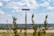 A blue road sign that reads 'Seminary Drive' is mounted on a wooden post. The background reveals a vast landscape with green fields and a distant view of houses under a partly cloudy sky. Some out-of-focus plants appear in the foreground.