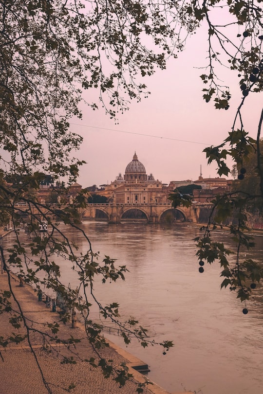 Pantheon things to do in Santi Cosma e Damiano