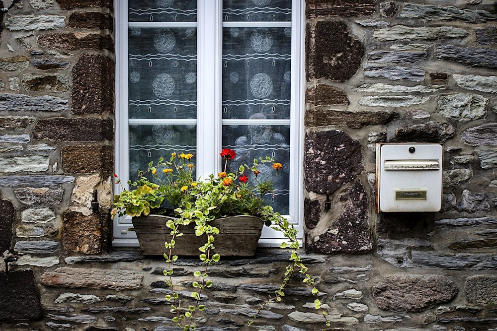 red poppy flowers on windowsill beside mailbox