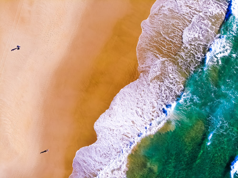 top view of two people on beach shore