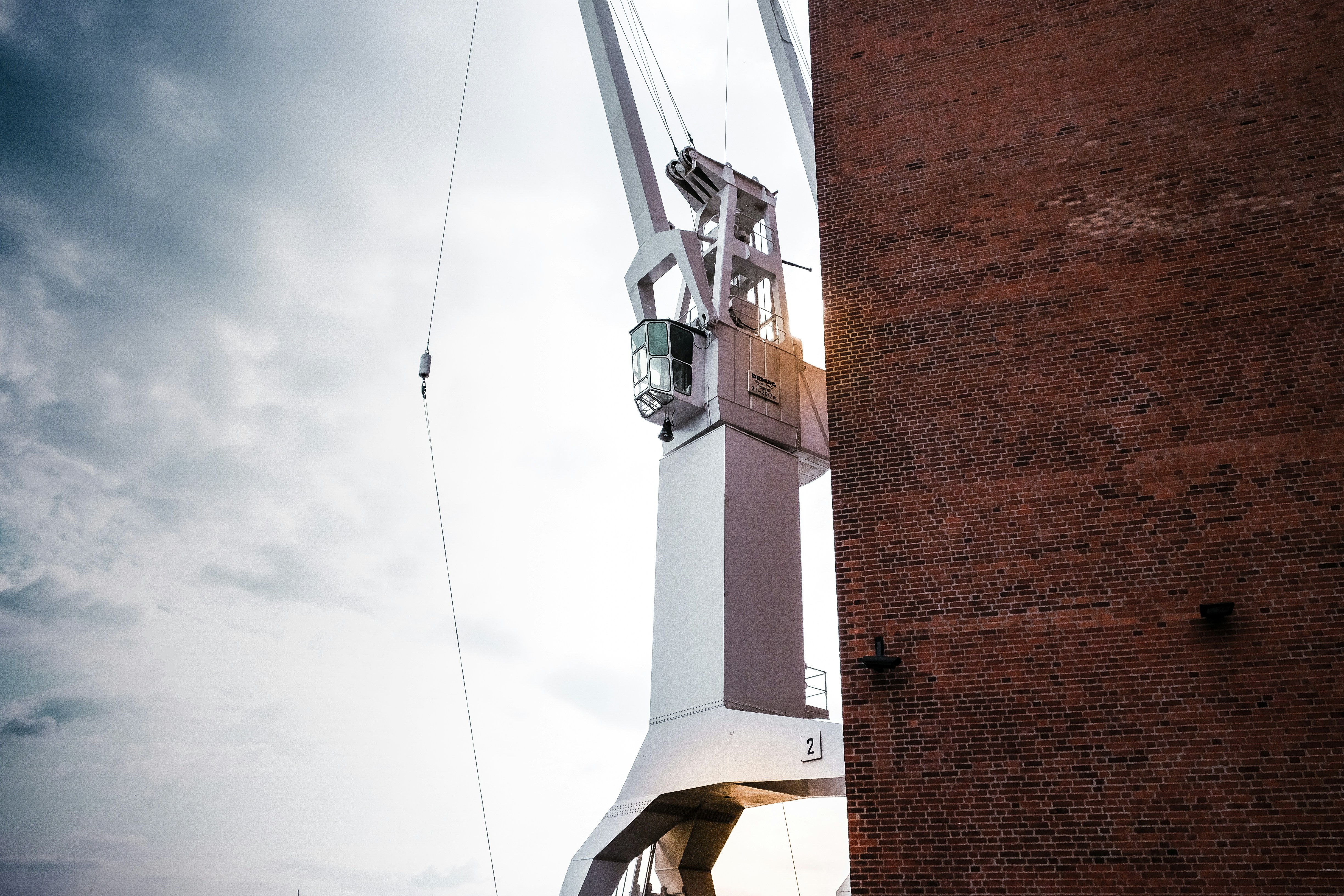 white and gray crane
