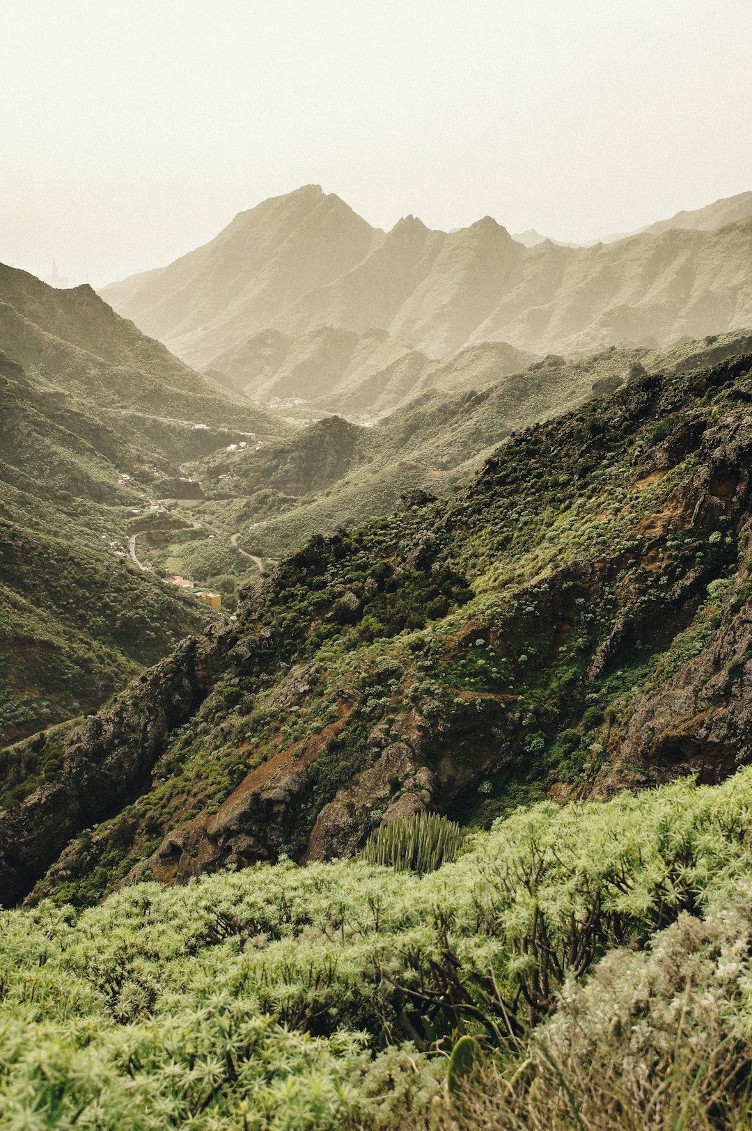 Hill photo spot Tenerife Puerto de la Cruz