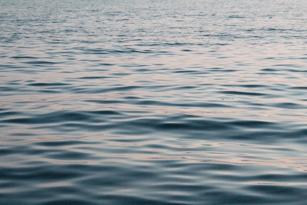 body of water during daytime