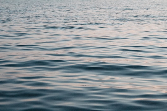 body of water during daytime in Florida United States