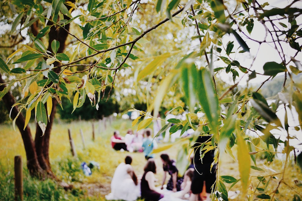 two group of people having picnic