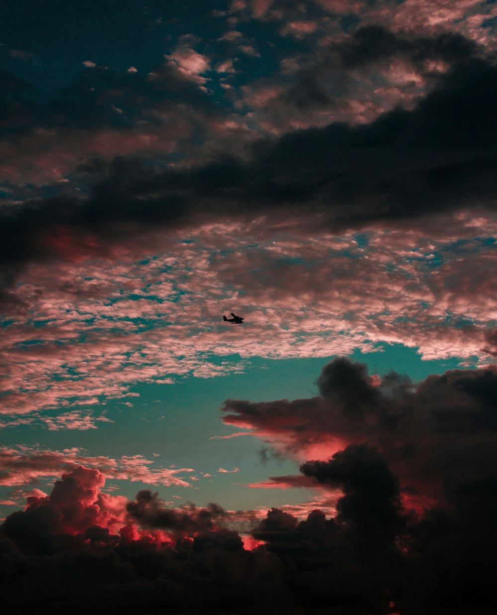 photo of plane on air during golden hour