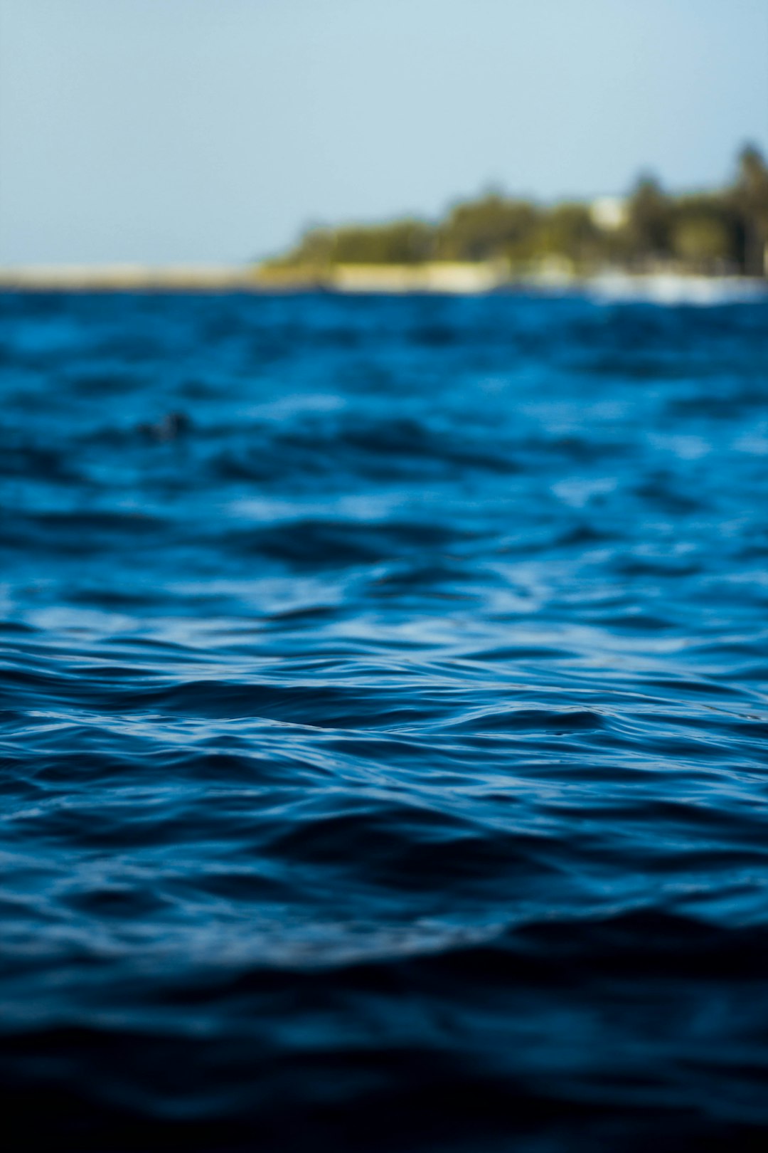 photo of body of water during daytime