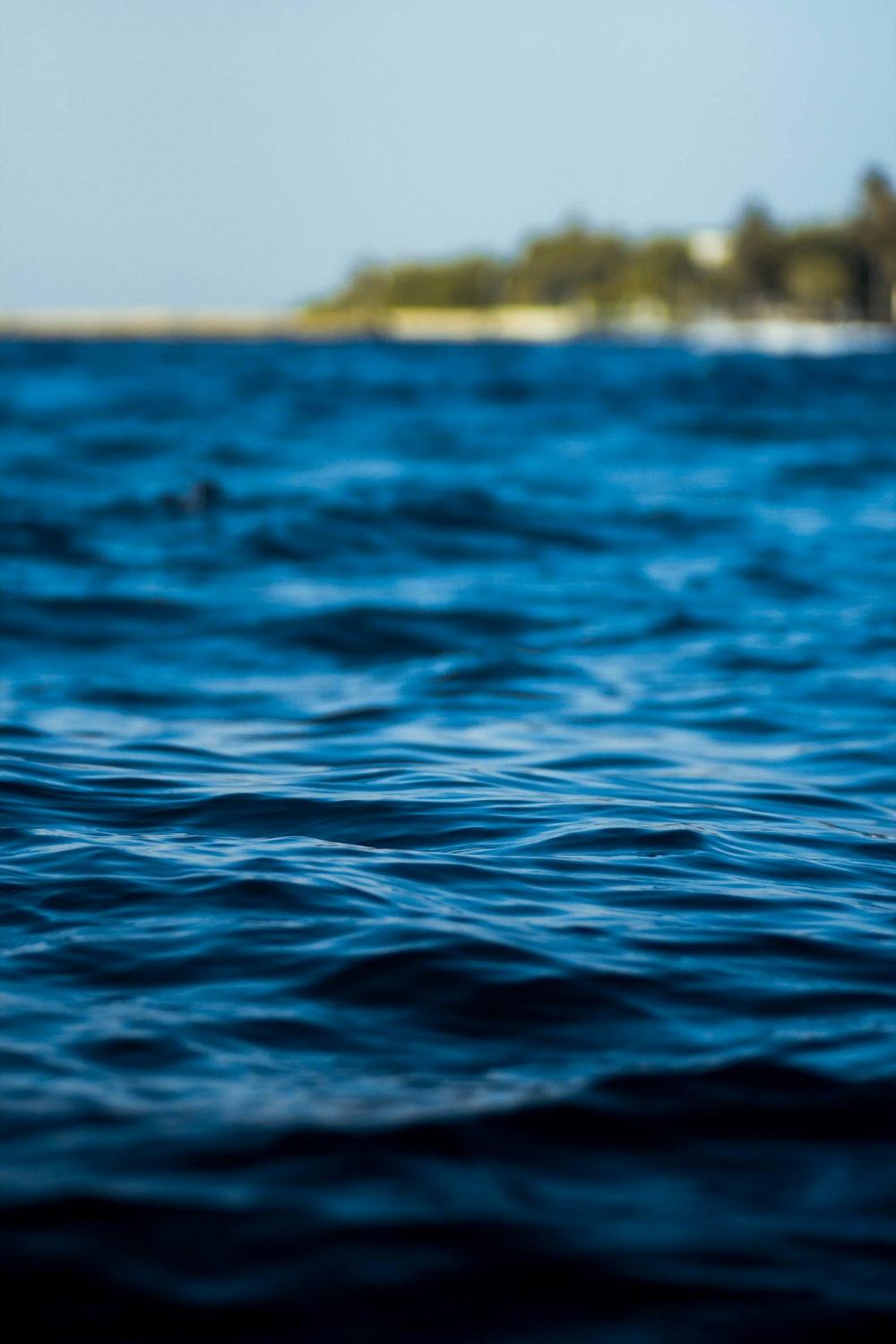 photo of body of water during daytime