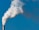 A chimney releasing a large plume of white smoke against a clear blue sky. The smoke appears thick and voluminous, suggesting industrial activity.