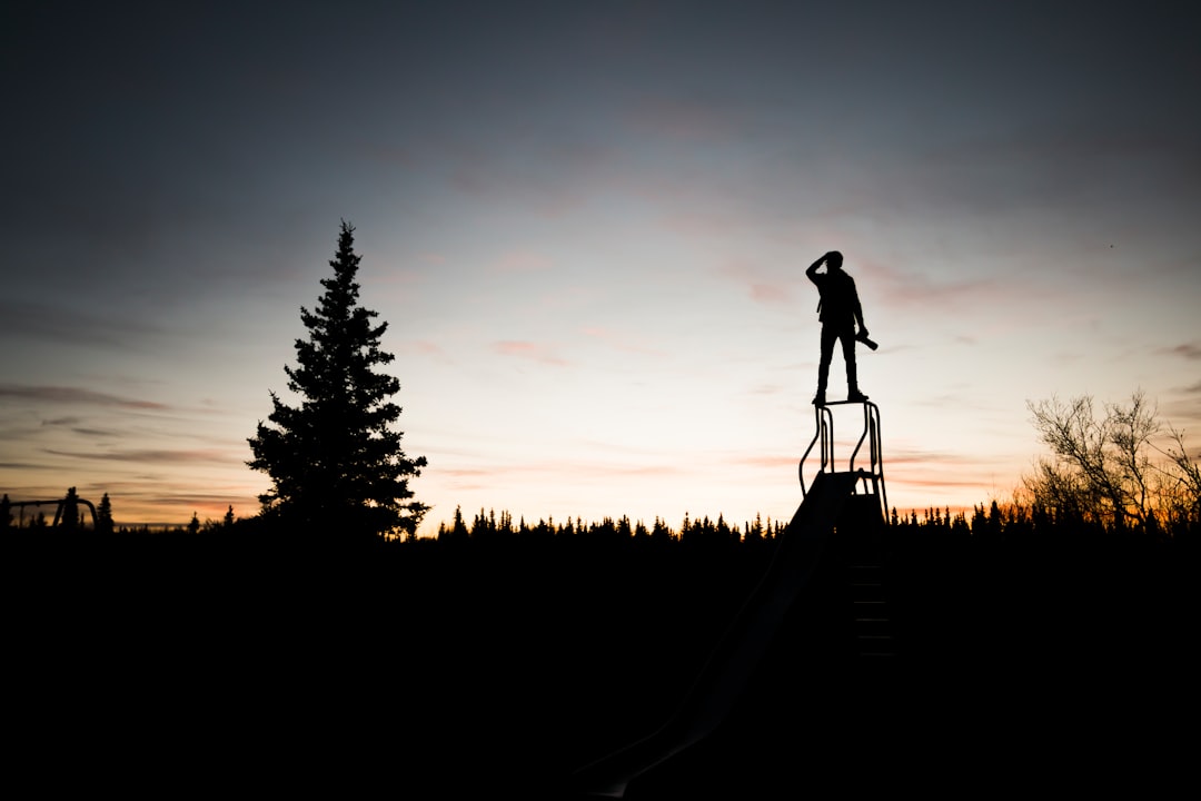 silhouette of a person standing on frame near tree during sunset