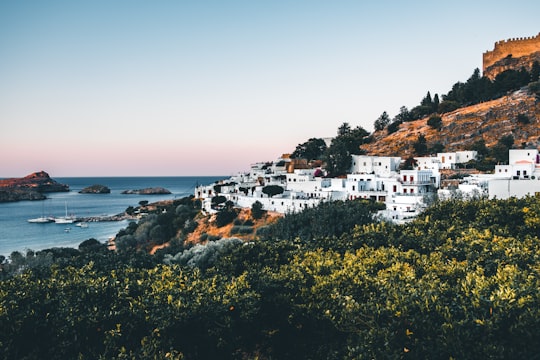 white buildings on mountain by the sea during daytime in Acropolis of Rhodes Greece