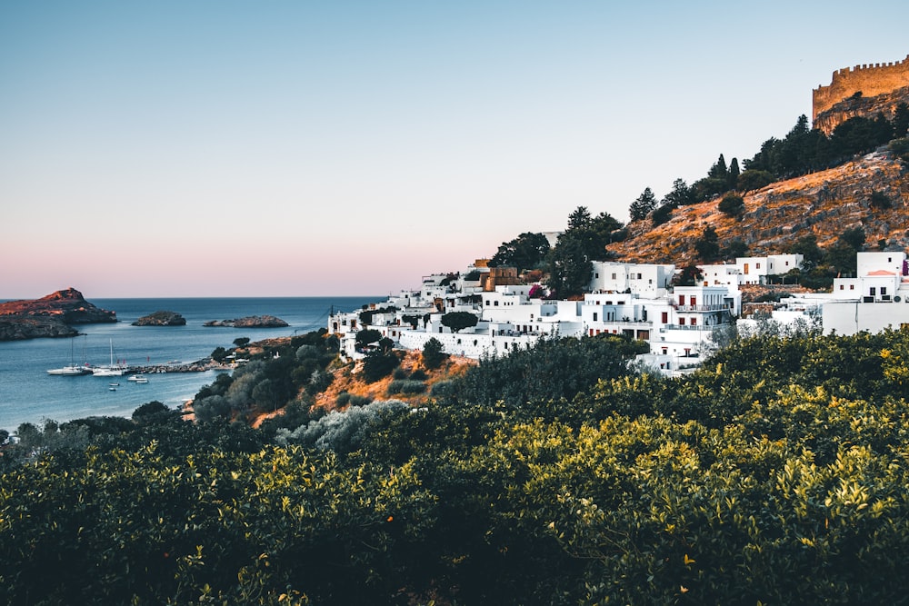 white buildings on mountain by the sea during daytime