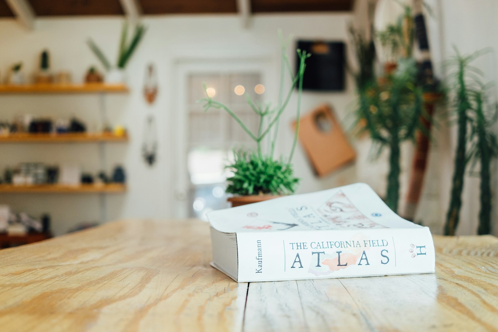 Fujifilm X-T1 + Fujifilm XF 27mm F2.8 sample photo. Atlas book on table photography