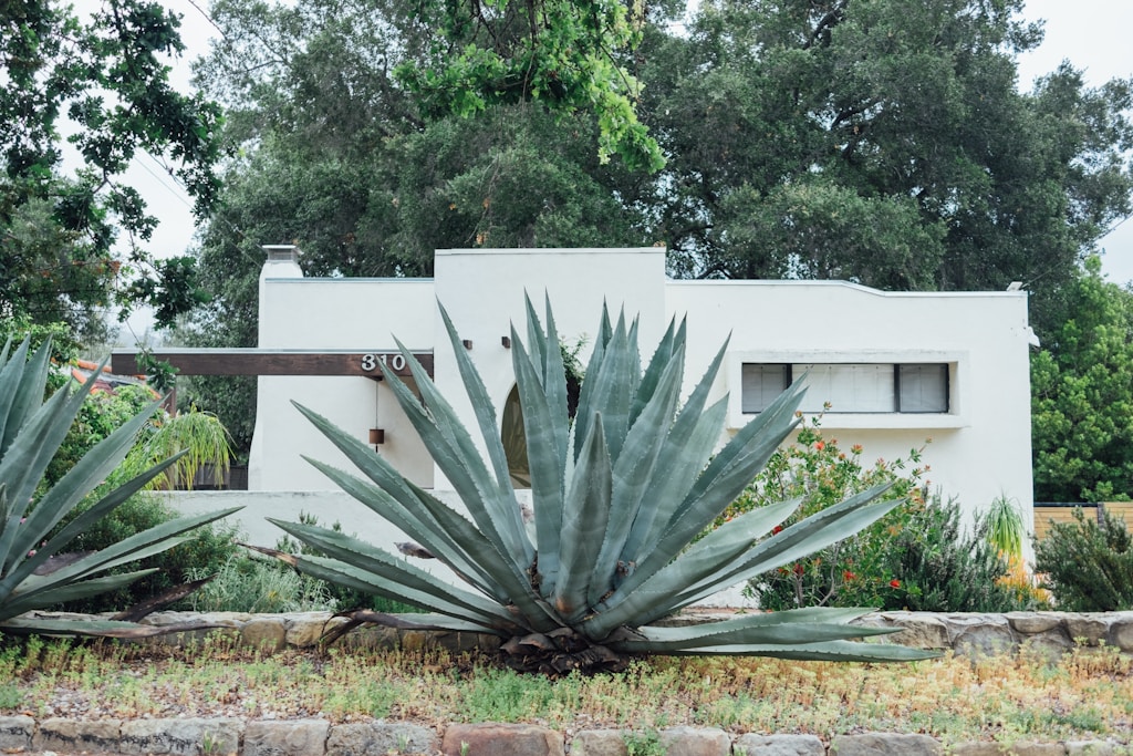 Residencia contemporánea con jardín