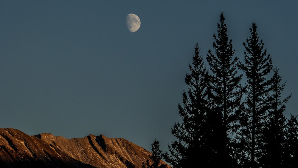 landscape of mountain