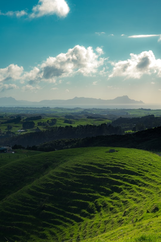 green mountains in Whangarei New Zealand