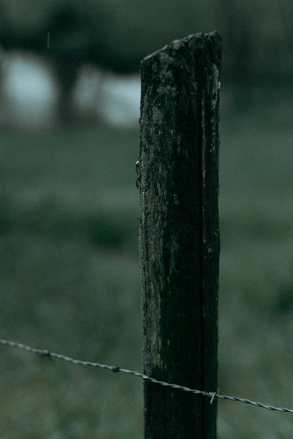 shallow focus photography of black rod