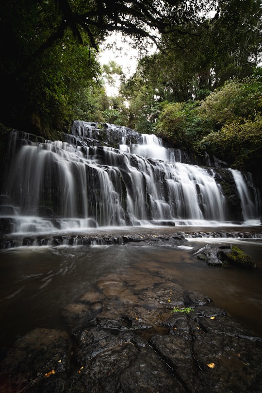 waterfalls on rocks in the forest in Purakaunui Falls New Zealand