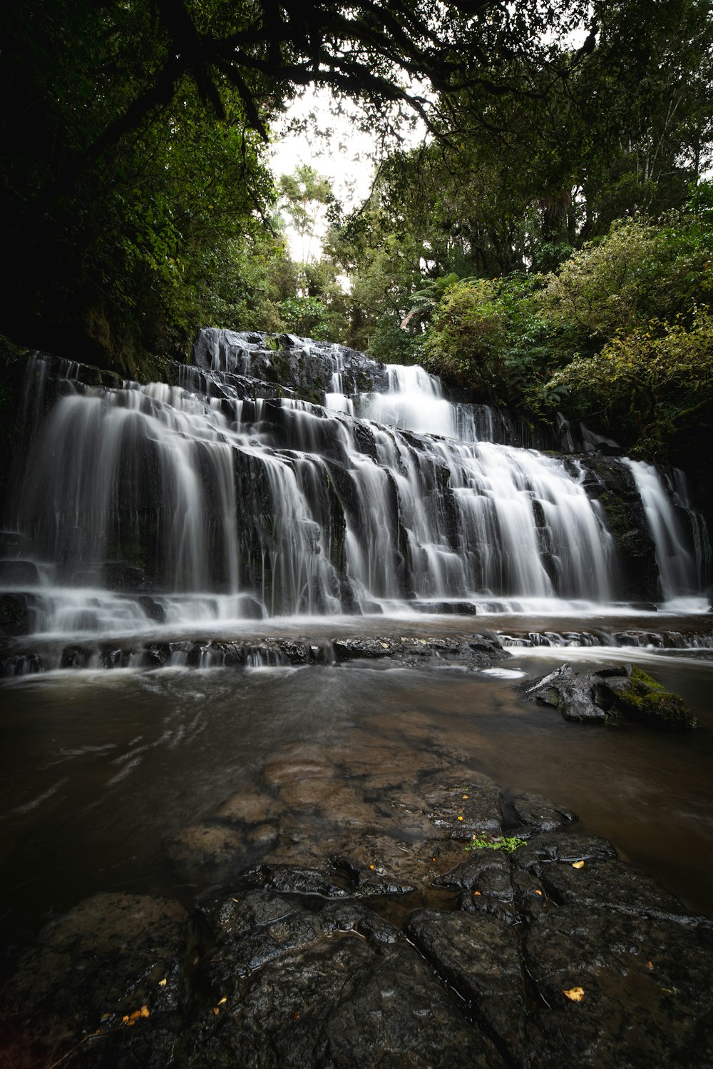 waterfalls on rocks in the forest