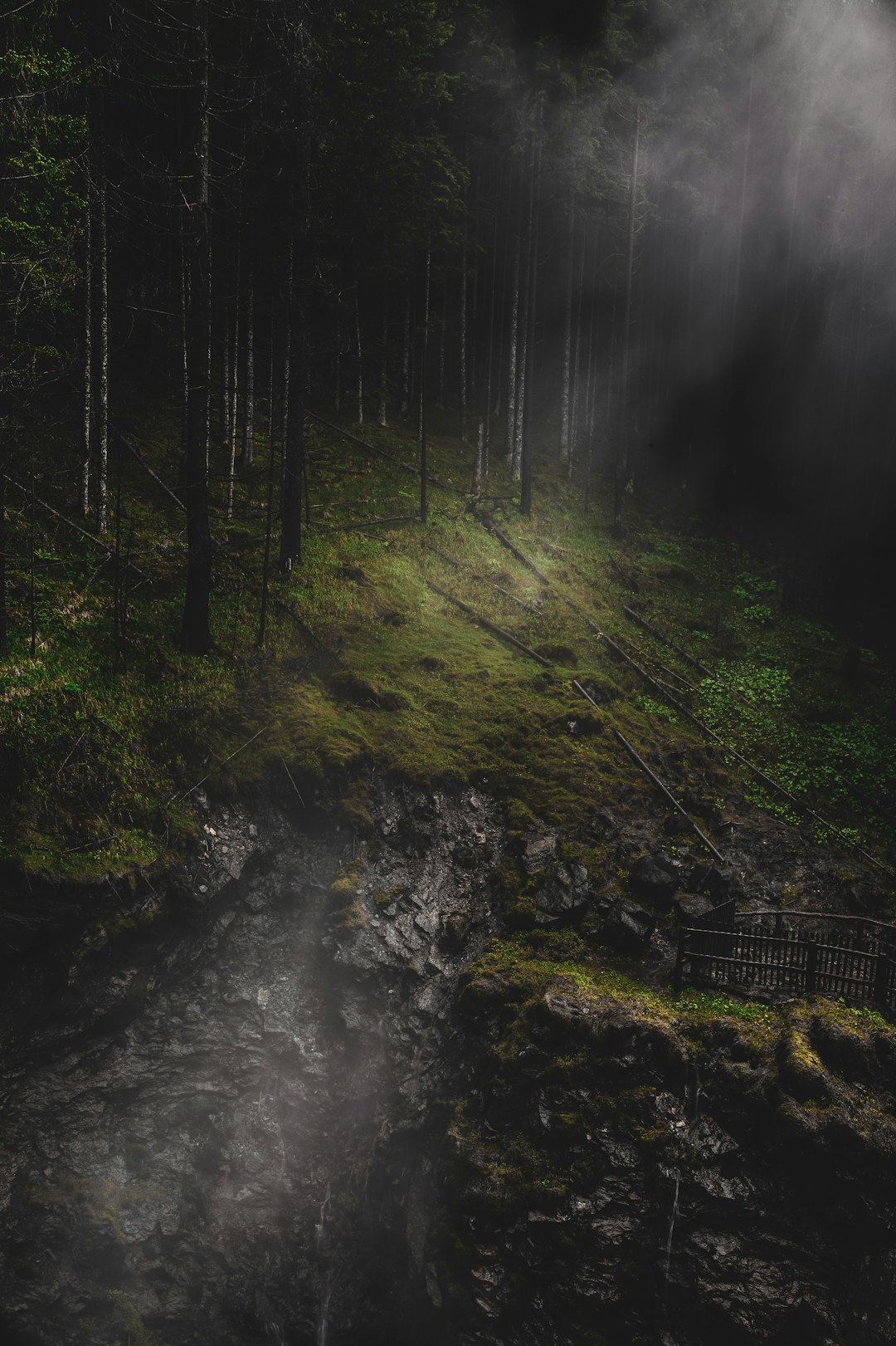 Forest photo spot Waterfall - Forest Lago di Braies