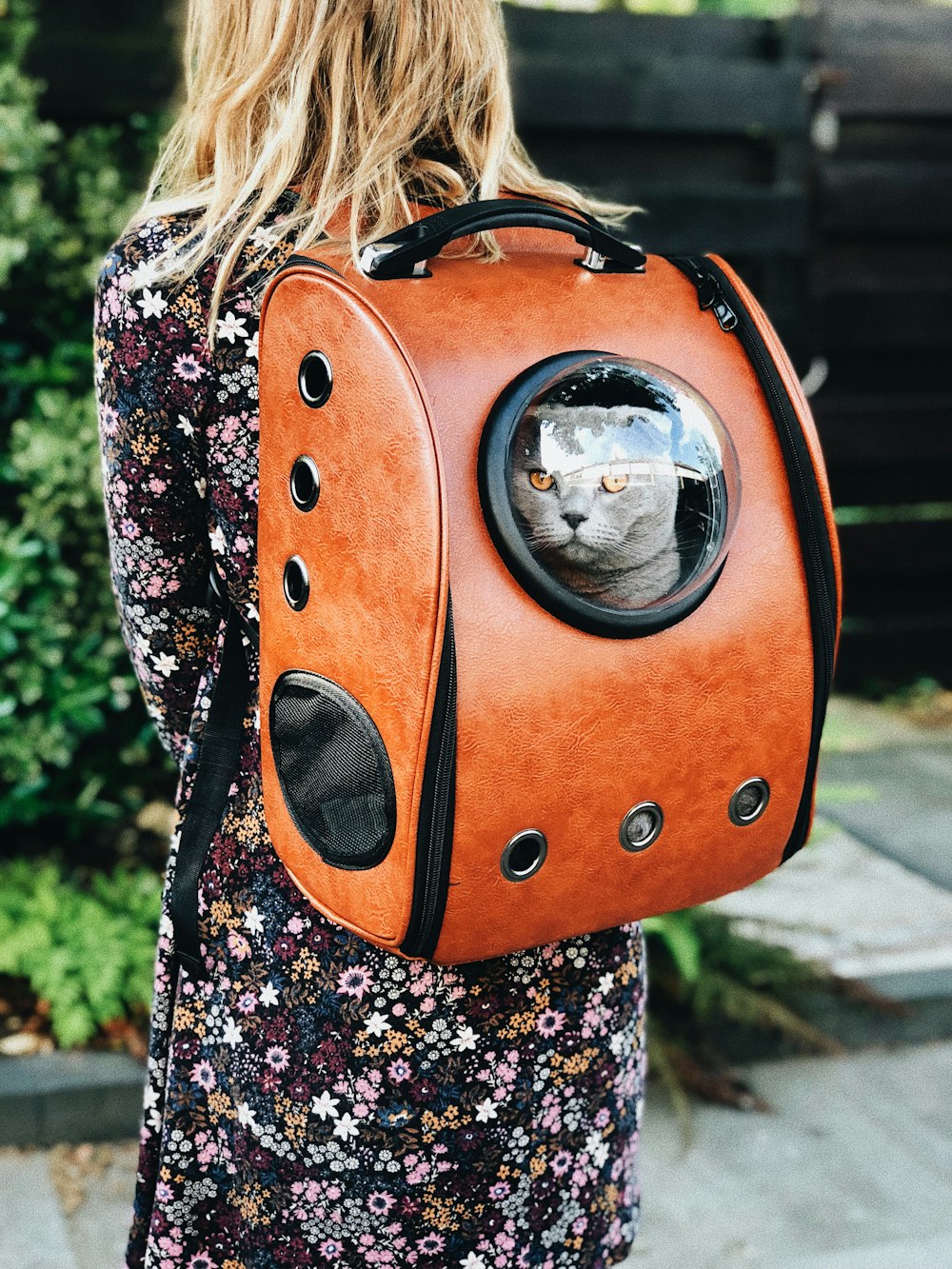 Mujer que lleva un transportín para mascotas mientras está de pie cerca de una planta verde